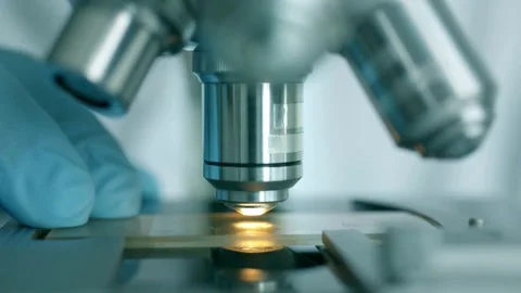 A close-up of the rabies virus under a microscope for ongoing research. Stock Footage 336583117