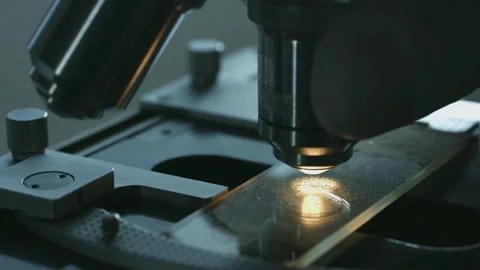 A close-up of the rabies virus under a microscope for ongoing research. Stock Footage 336583154