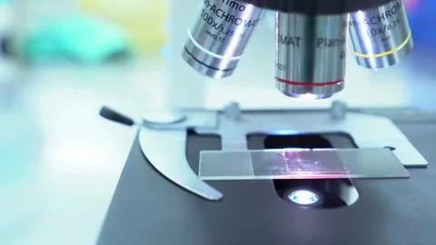 A close-up of the rabies virus under a microscope for ongoing research. Stock Footage 336583180