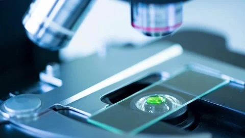 Close up of rabies virus under microscope for expert research in virology Stock Footage 336583358