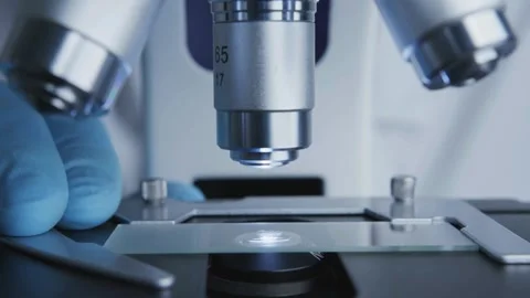 Close up of rabies virus under microscope for expert research in virology Stock Footage 336583425