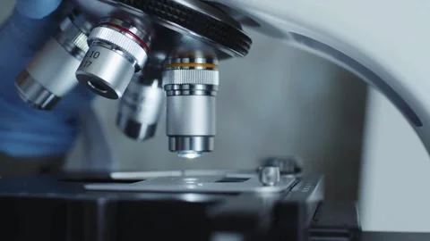 Close up of rabies virus under microscope for expert research in virology Stock Footage 336583426