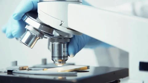 Close up of rabies virus under microscope for expert research in virology Stock Footage 336583463