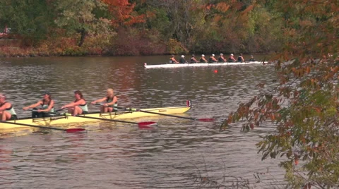 Close Race on River during Regatta Video stock 43058676