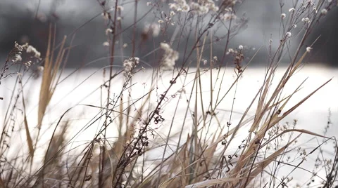Close up rack focus in front of grass to an abstract view of rushing water Stock Footage 44020868
