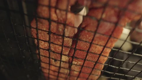 Close-up of the rack on which the chef places the marinated ribs. Vídeos de archivo 236538127