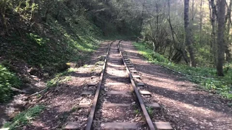 Close up of the railway through the forest Video stock 308111398