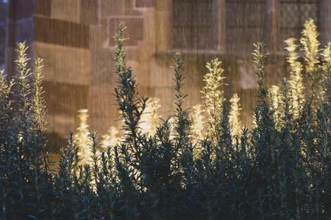 A close up of rain back lighted against a church on a stormy night Stock Photos