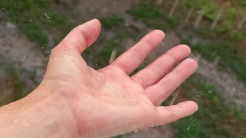 Close Up of Rain Dripping on Open Palm, Human Hand Feeling Rain 스톡 동영상 314425951