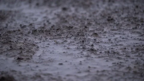 Close up rain drop down on the brown dirty ground puddle Stock Footage 152565870
