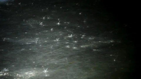 Close up of rain drop hit concrete floor... | Stock Video | Pond5