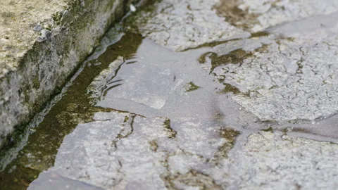 Close-up of rain droplets splashing in a muddy puddle slow-mo Stock Footage 334828309