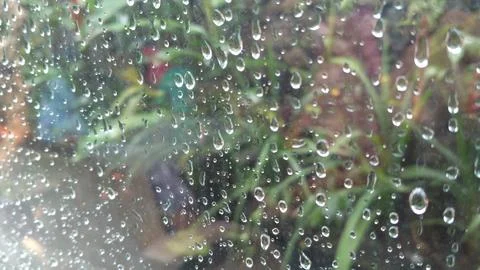 Close-Up of Rain Droplets on a Window with Blurred Greenery in the Background Stock Photos