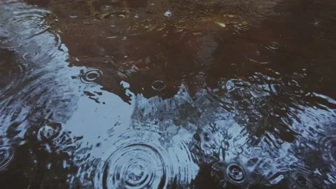 Close-up of rain drops falling into an autumn puddle on cobblestone pavement Stock Footage 339371345