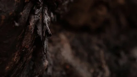 Close up of rain drops Stock Footage 72110648