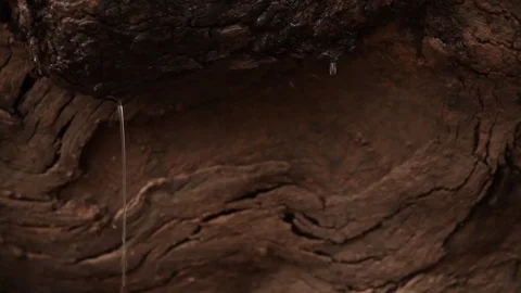 Close up of rain drops Stock-Footage 72110655