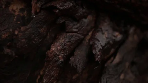 Close up of rain drops Stock Footage 72110689