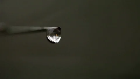 Close up of rain drops Stock Footage 72110846