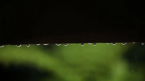 Close up of rain drops Stock Footage 72110901