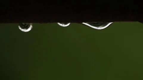 Close up of rain drops Stock Footage 72110966