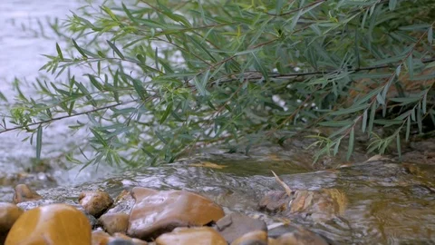 Close up of rain drops Stock Footage 96983256