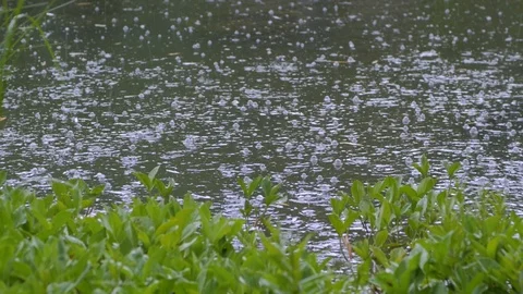 Close up of rain drops Stock Footage 96983434
