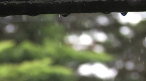 Close up of rain drops HD Stock Footage 8556176