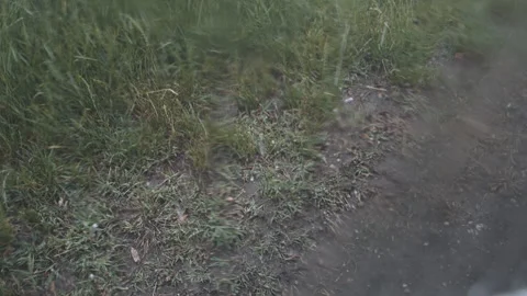 Close up rain drops on mud puddle with sprigs of grass during rain storm. Stock Footage 295774860