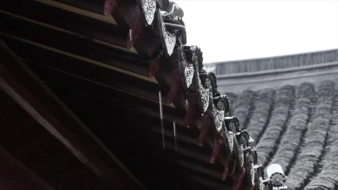 Close-Up Rain Drops on Purple Leaves and Ancient Roof Stock Footage 346108963
