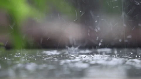 Close up rain drops on rainy summer day. Slow motion. Stock Footage 158078866