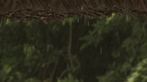 Close Up of the Rain Falling In The Amazon Rain Forest 스톡 동영상 19034136