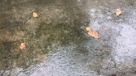 Close up rain falling on the cement ground. Stock Footage 90302359