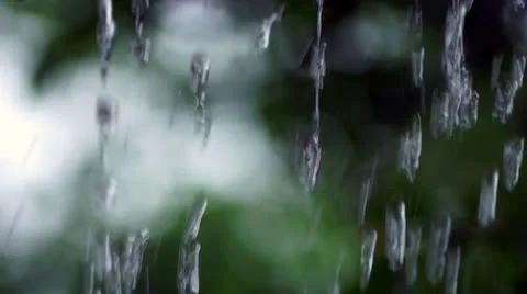 Close up of Rain falling Stock Footage 24518406