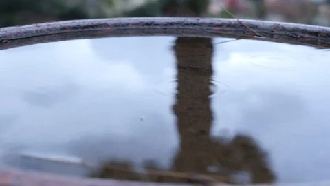 Close up of rain falling in pot. Video stock 121496409