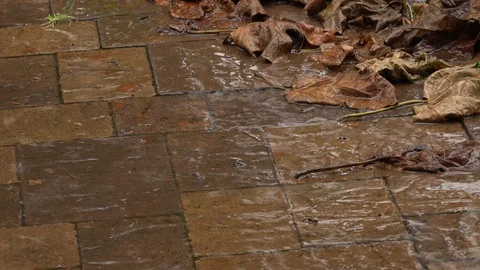 Close up rain falling on rustic brown pavers Stock Footage 101087821