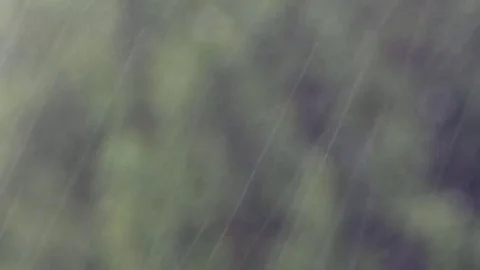 Close up of rain on green background Stock Footage 69260982