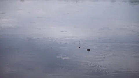 Close-up rain of small drops in spring, while fishing, fall on the surface of Stock Footage 170235013