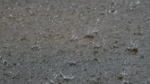 Close up of rain splashes in the yard Stock Footage 297655650