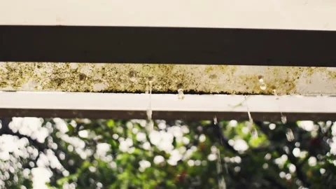 Close-Up of Rain Water Dripping Through Transparent Roof Vidéo 333289901