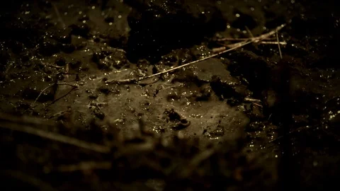 Close up of rain water hitting the ground. Stock Footage 90679947