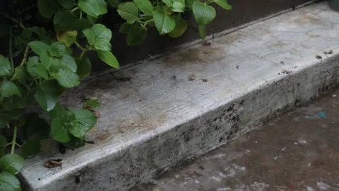 Close up of Rain Water running throw Cement Floor 動画素材 162063166