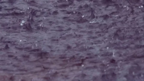 Close-up Raindrops (1080p 23.976) Video stock 81097389