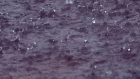 Close-up Raindrops (1080p 25fps) Stock Footage 81097391
