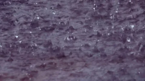 Close-up Raindrops (1080p 29.97) Stock Footage 81097388