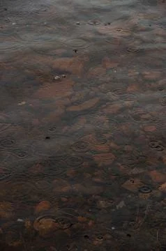 A close-up of raindrops creating ripples on shallow water Stock-Fotos