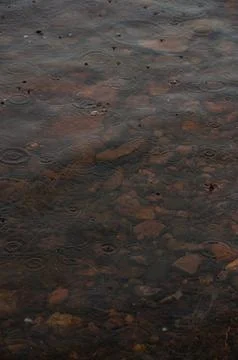 A close-up of raindrops creating ripples on shallow water Stock-Fotos