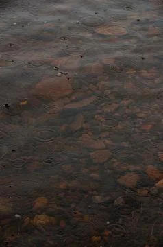 A close-up of raindrops creating ripples on shallow water Foto stock
