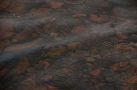 A close-up of raindrops creating ripples on shallow water Stock Photos