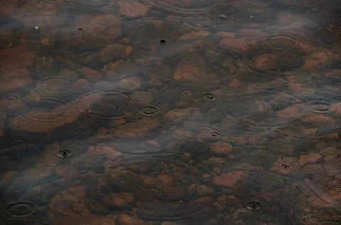 A close-up of raindrops creating ripples on shallow water Stock Photos