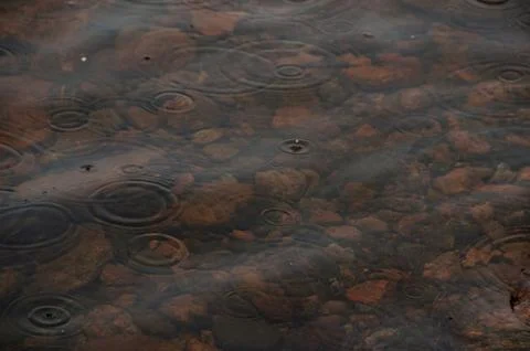 A close-up of raindrops creating ripples on shallow water Stock Photos